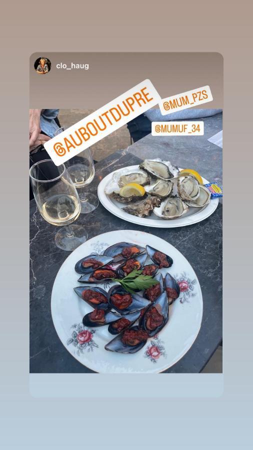 佩兹纳斯 Au Bout Du Pre酒店 外观 照片